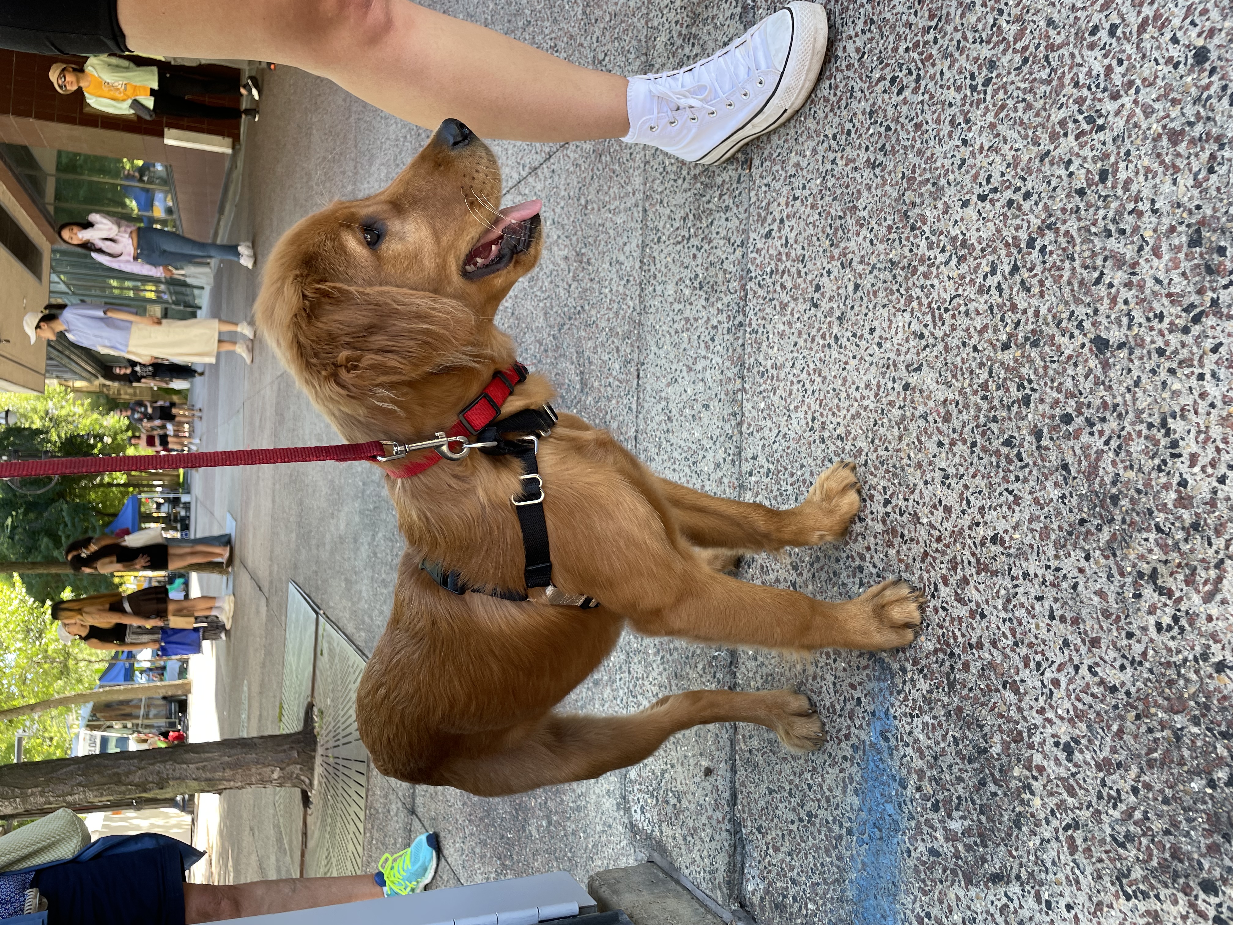 Animal photograph from field notes