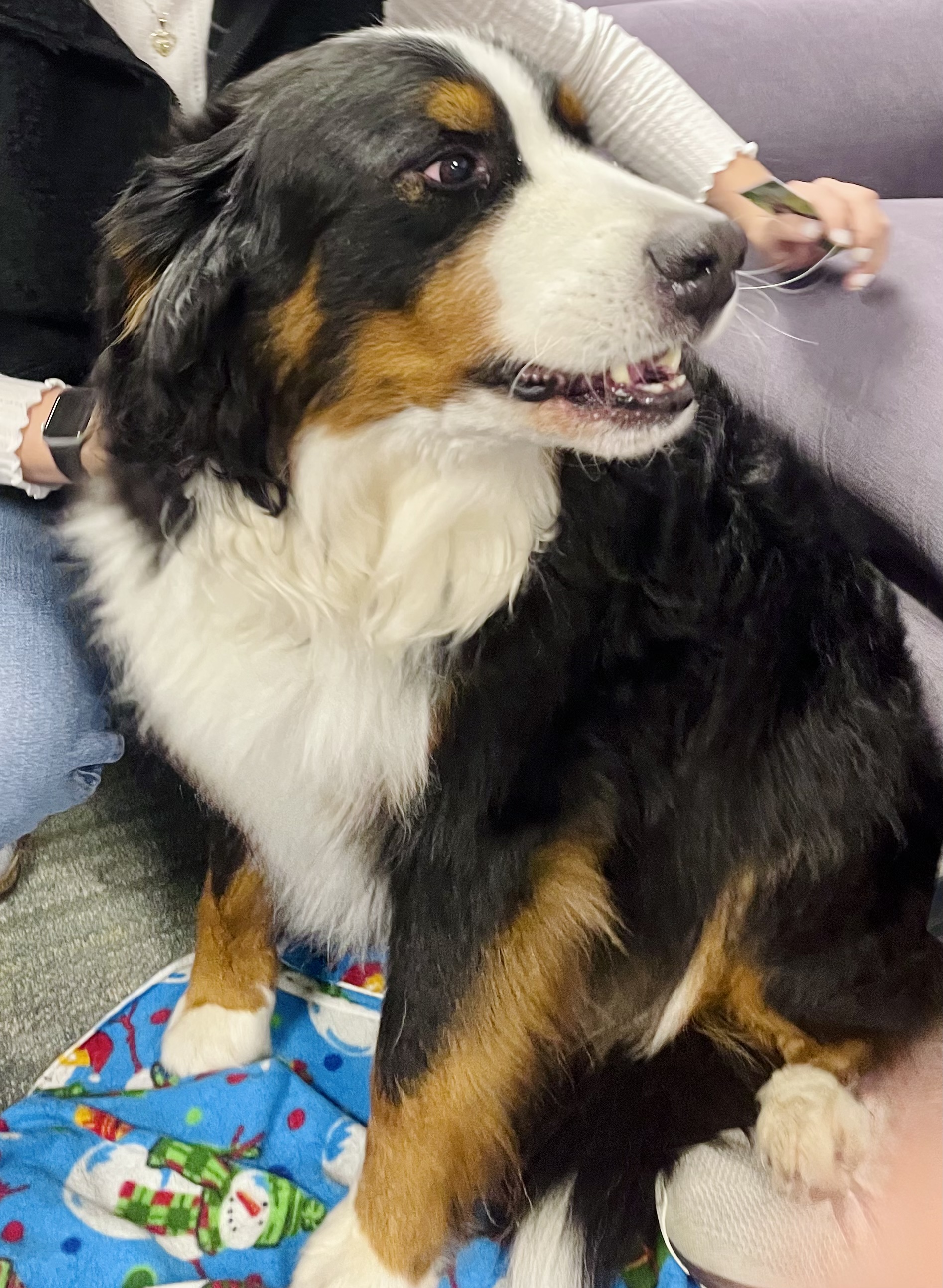 Animal photograph from field notes