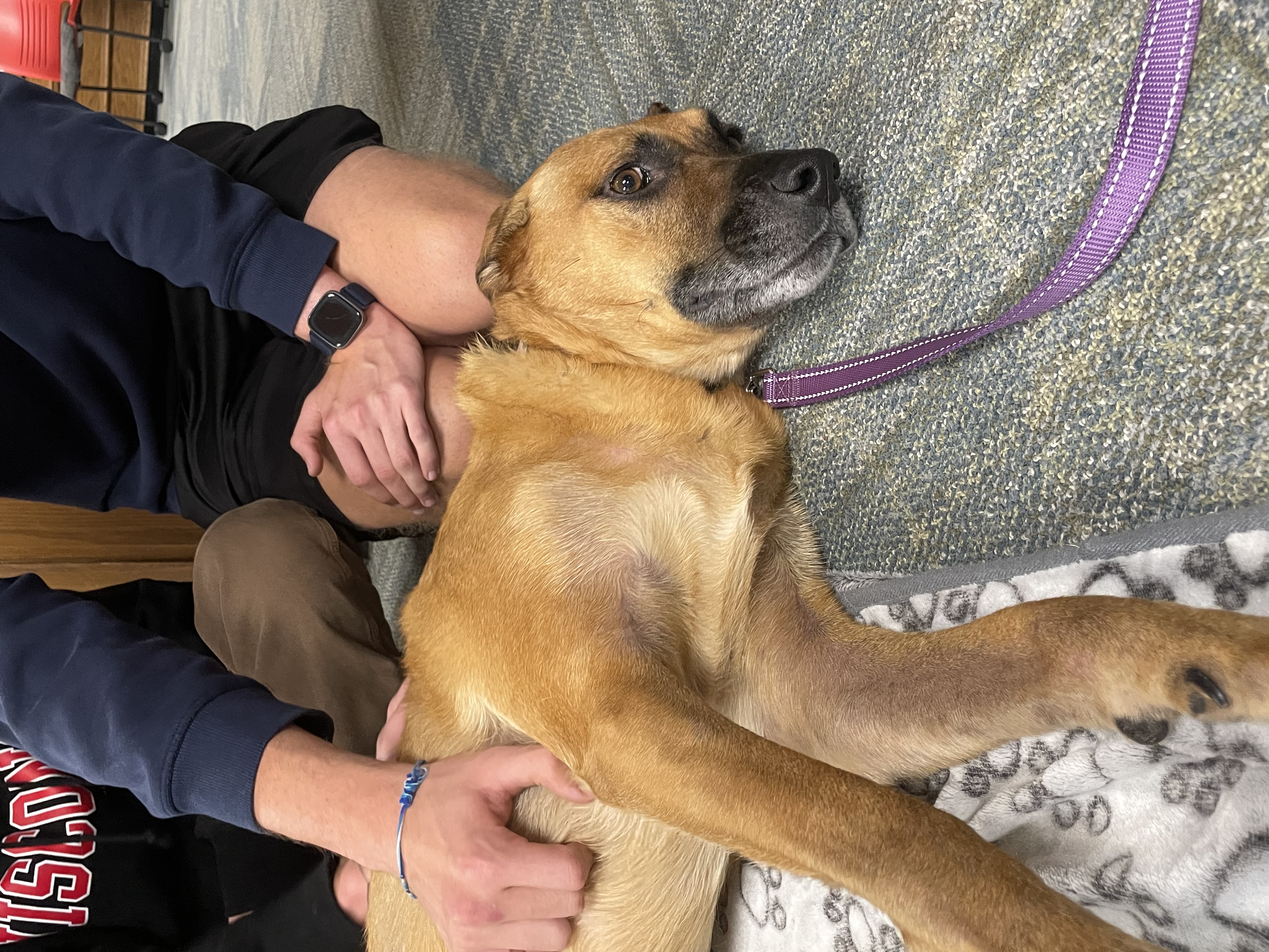 Animal photograph from field notes